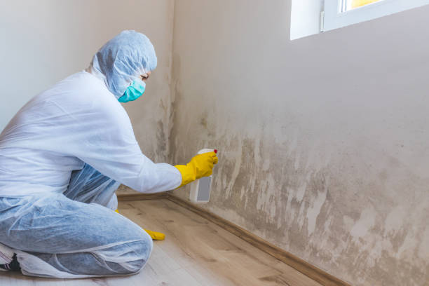 Licensed Mold Testing service in Graham, TX - WQB Mold Removal