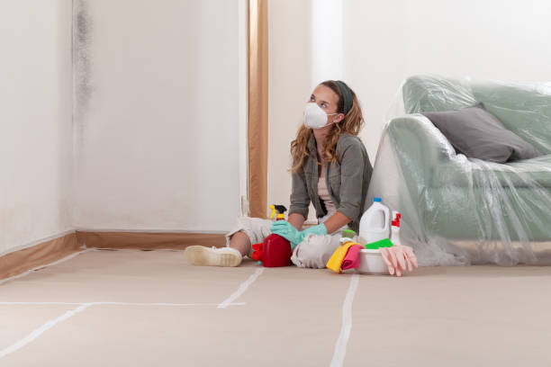 Reliable Mold Testing contractor in Graham, TX by WQB Mold Removal